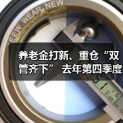 养老金打新、重仓“双管齐下” 去年第四季度新进19只个股（图2）