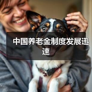 中国养老金制度发展迅速（图4）