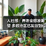 人社部：养老金标准调整 多数地区已发放到位（图2）