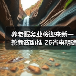 养老服务业将迎来新一轮新政助推 26省事明确提箱外资开放（图4）