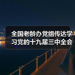 全国老龄办党组传达学习党的十九届三中全会精神（图3）