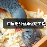 中国老龄健康促进工程(图1) 中国老龄健康促进工程(图1)