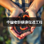 中国老龄健康促进工程(图2) 中国老龄健康促进工程(图2)