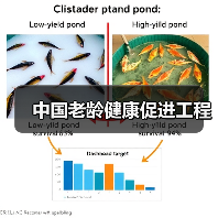 中国老龄健康促进工程(图4) 中国老龄健康促进工程(图4)