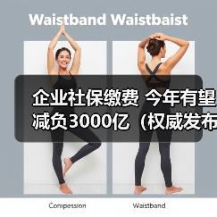 企业社保缴费 今年有望减负3000亿(权威发布)(图3) 企业社保缴费 今年有望减负3000亿(权威发布)(图3)
