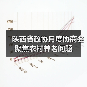 陕西省政协月度协商会聚焦农村养老问题（图3）