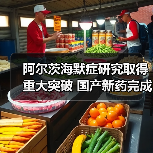 阿尔茨海默症研究取得重大突破 国产新药完成临床3期试验（图1）