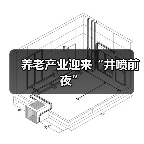 养老产业迎来“井喷前夜”（图4）