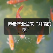 养老产业迎来“井喷前夜”（图1）