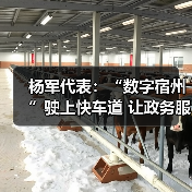杨军代表:“数字宿州”驶上快车道 让政务服务像“网购”一样方便(图4) 杨军代表:“数字宿州”驶上快车道 让政务服务像“网购”一样方便(图4)