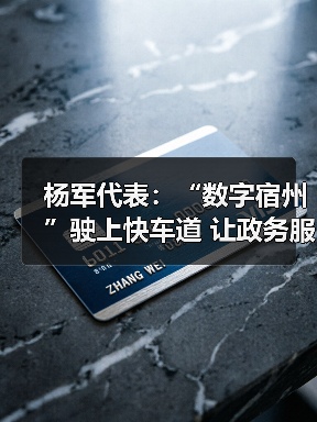 杨军代表:“数字宿州”驶上快车道 让政务服务像“网购”一样方便(图1) 杨军代表:“数字宿州”驶上快车道 让政务服务像“网购”一样方便(图1)