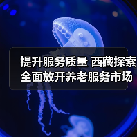 提升服务质量 西藏探索全面放开养老服务市场（图2）