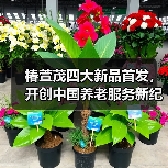 椿萱茂四大新品首发,开创中国养老服务新纪元(图1) 椿萱茂四大新品首发,开创中国养老服务新纪元(图1)