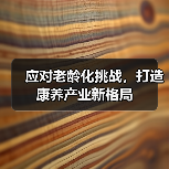 应对老龄化挑战,打造康养产业新格局(图3) 应对老龄化挑战,打造康养产业新格局(图3)