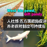 人社部:五方面措施促进养老保险制度可持续发展(图2) 人社部:五方面措施促进养老保险制度可持续发展(图2)