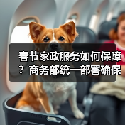 春节家政服务如何保障?商务部统一部署确保养老育幼需求(图2) 春节家政服务如何保障?商务部统一部署确保养老育幼需求(图2)