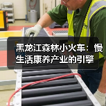 黑龙江森林小火车：慢生活康养产业的引擎（图1）