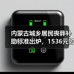 内蒙古城乡居民丧葬补助标准出炉，1536元如何申领？（图2）