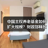 中国主权养老基金如何扩大规模?财政部释放重要信号(图3) 中国主权养老基金如何扩大规模?财政部释放重要信号(图3)