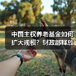 中国主权养老基金如何扩大规模?财政部释放重要信号(图1) 中国主权养老基金如何扩大规模?财政部释放重要信号(图1)