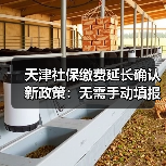 天津社保缴费延长确认新政策：无需手动填报（图1）