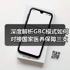 深度解析GBC模式如何对接国家医养保障三支柱体系(图3) 深度解析GBC模式如何对接国家医养保障三支柱体系(图3)