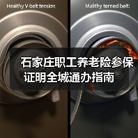 石家庄职工养老险参保证明全城通办指南(图3) 石家庄职工养老险参保证明全城通办指南(图3)