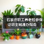 石家庄职工养老险参保证明全城通办指南(图1) 石家庄职工养老险参保证明全城通办指南(图1)