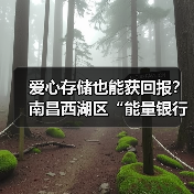爱心存储也能获回报?南昌西湖区“能量银行”互助养老新模式揭秘(图3) 爱心存储也能获回报?南昌西湖区“能量银行”互助养老新模式揭秘(图3)