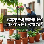 医养结合与老龄事业如何协同发展?权威论坛聚焦健康养老新路径(图2) 医养结合与老龄事业如何协同发展?权威论坛聚焦健康养老新路径(图2)