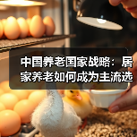 中国养老国家战略：居家养老如何成为主流选择？（图1）