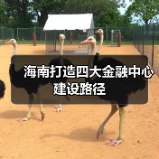 海南打造四大金融中心建设路径（图2）