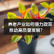 养老产业如何借力政策推动高质量发展?(图4) 养老产业如何借力政策推动高质量发展?(图4)