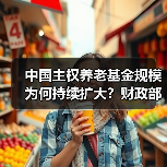 中国主权养老基金规模为何持续扩大?财政部透露关键信息(图3) 中国主权养老基金规模为何持续扩大?财政部透露关键信息(图3)