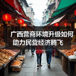 广西营商环境升级如何助力民营经济腾飞(图3) 广西营商环境升级如何助力民营经济腾飞(图3)