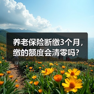 养老保险断缴3个月,缴的额度会清零吗?(图1) 养老保险断缴3个月,缴的额度会清零吗?(图1)