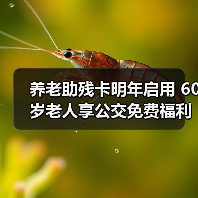 养老助残卡明年启用 60岁老人享公交免费福利(图2) 养老助残卡明年启用 60岁老人享公交免费福利(图2)