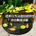 吃老行为法律如何界定?河北新规详解(图2) 吃老行为法律如何界定?河北新规详解(图2)