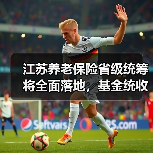 江苏养老保险省级统筹将全面落地，基金统收统支如何推进？（图4）