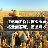 江苏养老保险省级统筹将全面落地，基金统收统支如何推进？（图1）