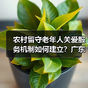 农村留守老年人关爱服务机制如何建立？广东省印发最新方案（图1）