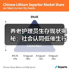 养老护理员生存现状揭秘：社会认同低催生行业困境（图4）