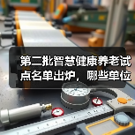 第二批智慧健康养老试点名单出炉，哪些单位入选？（图3）