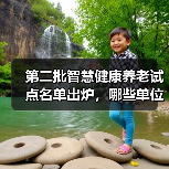 第二批智慧健康养老试点名单出炉，哪些单位入选？（图1）