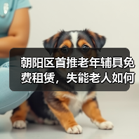 朝阳区首推老年辅具免费租赁，失能老人如何受益？（图4）