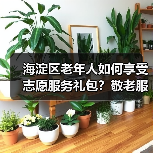 海淀区老年人如何享受志愿服务礼包？敬老服务新举措（图2）