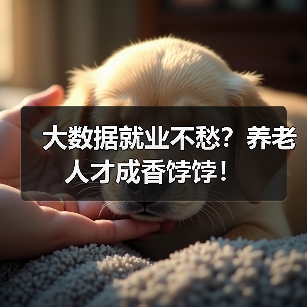大数据就业不愁？养老人才成香饽饽！（图2）