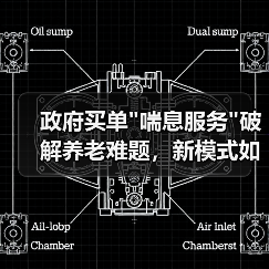 政府买单