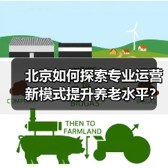 北京如何探索专业运营新模式提升养老水平？（图4）