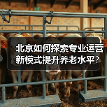 北京如何探索专业运营新模式提升养老水平？（图1）